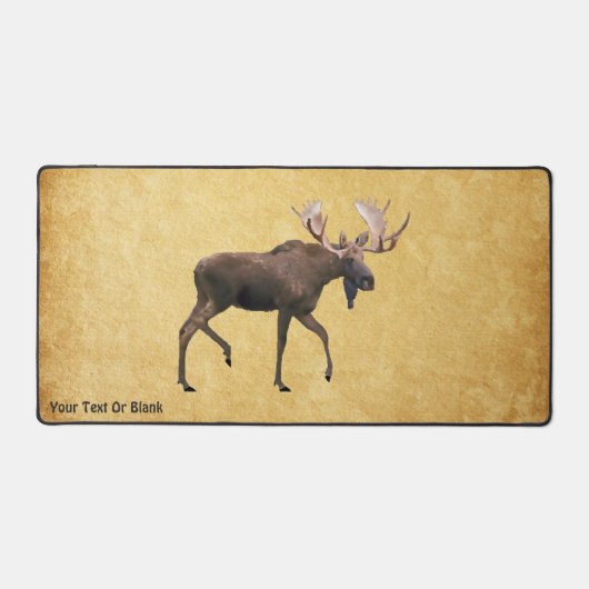 Bull Moose Sur Ancien Papier (Recto)