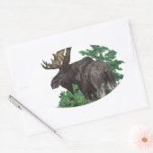 Bull-mose Ovale Sticker (Envelop)