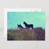 Bull Mountain Briefkaart (Voorkant / Achterkant)