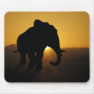 Bull-olifant Muismat