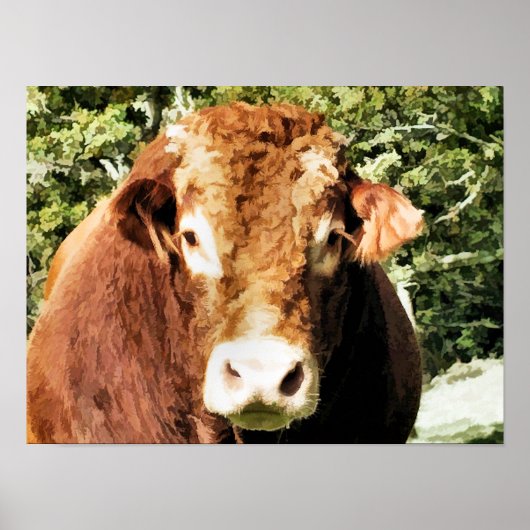 BULL POSTER (Voorkant)