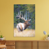 Bull Rocky Mountain Elk Canvas Afdruk (Insitu (Woonkamer))
