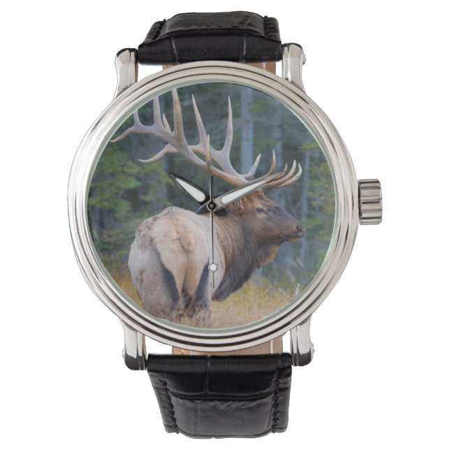 Bull Rocky Mountain Elk Horloge (Voorkant)