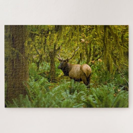 Bull Roosevelt Elk Legpuzzel (Horizontaal)