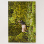 Bull Roosevelt Elk permanent in beemdje Legpuzzel (Verticaal)