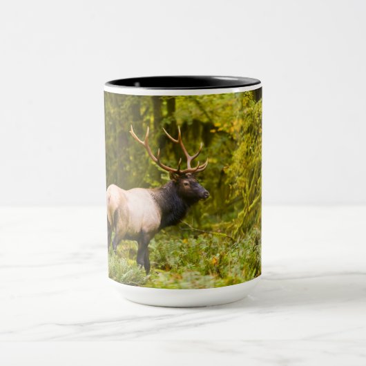 Bull Roosevelt Elk permanent in beemdje Mok (Midden)