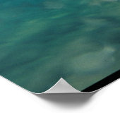 Bull Shark - Carcharhinus leucas Poster (Hoek)