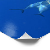 Bull Shark Foto Perfect Poster (Hoek)
