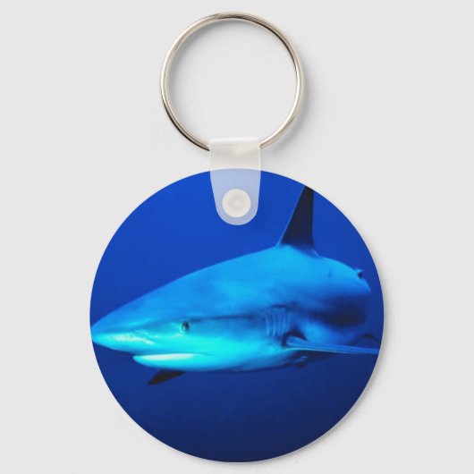 Bull Shark Sleutelhanger (Voorkant)