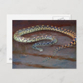 Bull Snake Briefkaart (Voorkant / Achterkant)