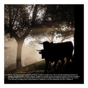 Bull Symboliek Perfect Poster