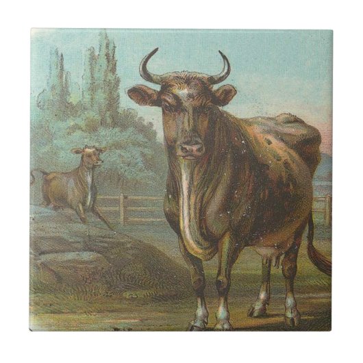 Bull Tegeltje (Voorkant)