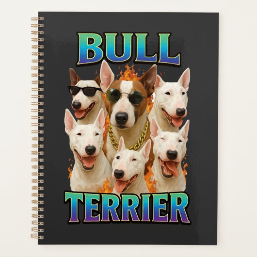 Bull Terrier (Devant)