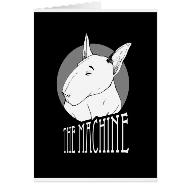 bull terrier (Devant)