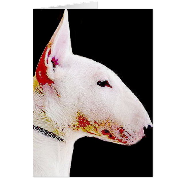 Bull Terrier (Voorkant)