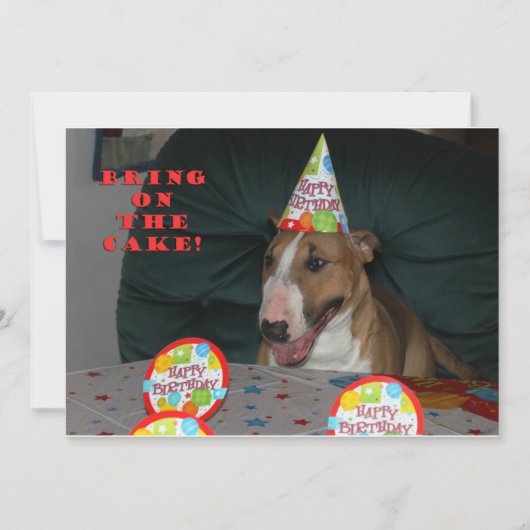 Bull Terrier Birthday Party Invitations Kaart (Voorkant)