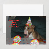 Bull Terrier Birthday Party Invitations Kaart (Voorkant / Achterkant)