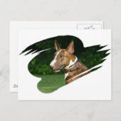 Bull Terrier Briefkaart (Voorkant / Achterkant)