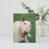 Bull Terrier Briefkaart (Staand voorkant)