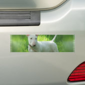 Bull Terrier Bumpersticker (Op auto)