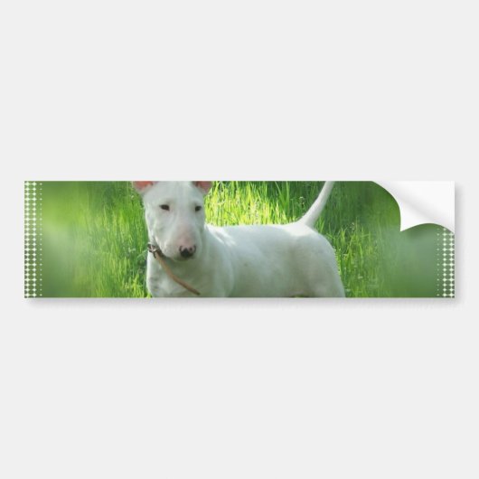 Bull Terrier Bumpersticker (Voorkant)