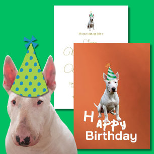 Bull Terrier Chien Anniversaire Fête Invitation