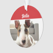 Bull Terrier Chien de Noël (devant)