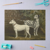  Bull Terrier en Dalmatian Tissuepapier (Craft)