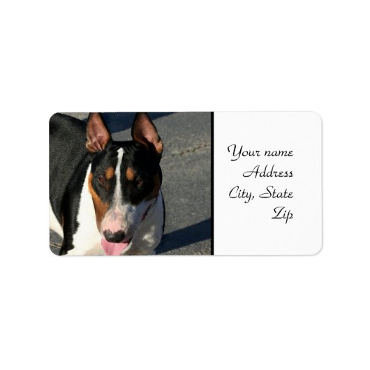 Bull Terrier Etiket (Voorkant)