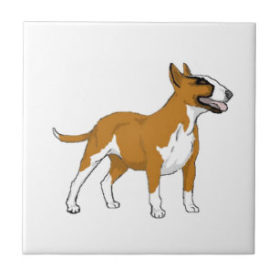 Bull Terrier — gekleurd Tegeltje