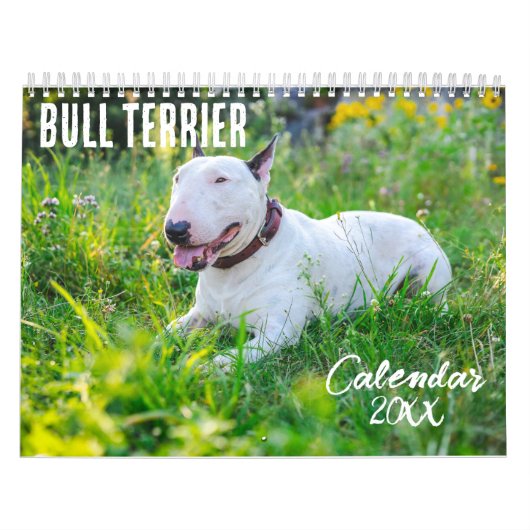 Bull Terrier kalender 2026 (Hoes)