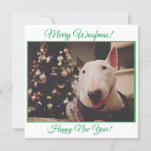 Bull Terrier-kerstboomglimlach