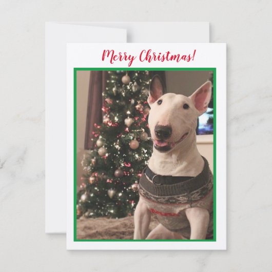 Bull Terrier-kerstkaart glimlachen (Voorkant)