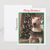 Bull Terrier-kerstkaart glimlachen (Voorkant / Achterkant)