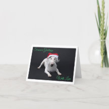 Bull Terrier Kerstman Kerstmis Vouwkaart