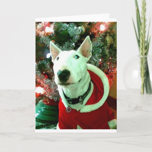 bull terrier Kerstmis Feestdagen Kaart (Voorkant)