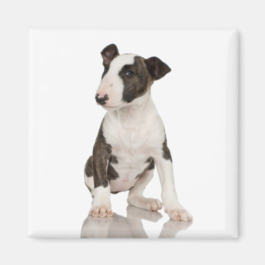 Bull Terrier Magnet Magneet (Voorkant)