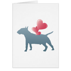 Bull-terrier miniature