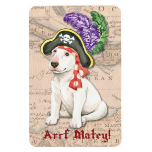 Bull Terrier Pirate Magneet