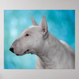 Bull Terrier Print
