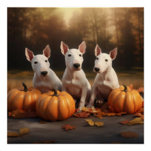Bull Terrier Puppy Herfst Plezier Pompoen Perfect Poster