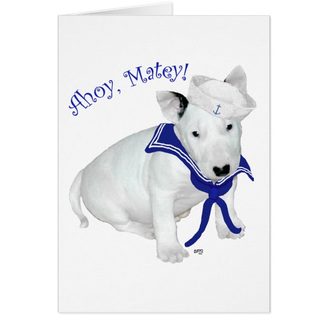 Bull Terrier Puppy Sailor (Voorkant)