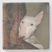 Bull Terrier Snuggled under a Blanket (kleur) Stenen Onderzetter (Voorkant)