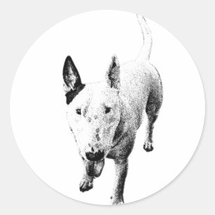 Bull Terrier Sticker – Grit Sticks