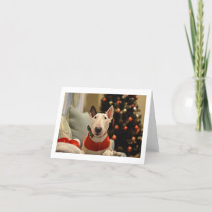 Bull Terrier Strikdas Kerstboom Vouwkaart Kaart