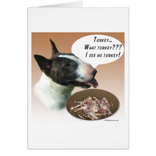 Bull Terrier Turkije