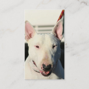 Bull Terrier Visitekaartjes