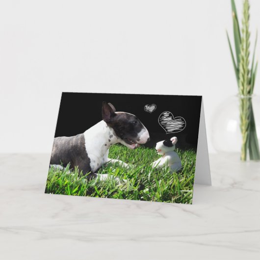 Bull Terrier-Wenskaart Kaart (Voorkant)