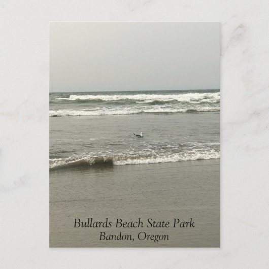 Bullards Beach State Park, Bandon, Oregon Briefkaart (Voorkant)