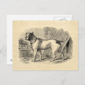  Bulldog 1800s Bull Dog Illustration - Dogs Briefkaart (Voorkant / Achterkant)